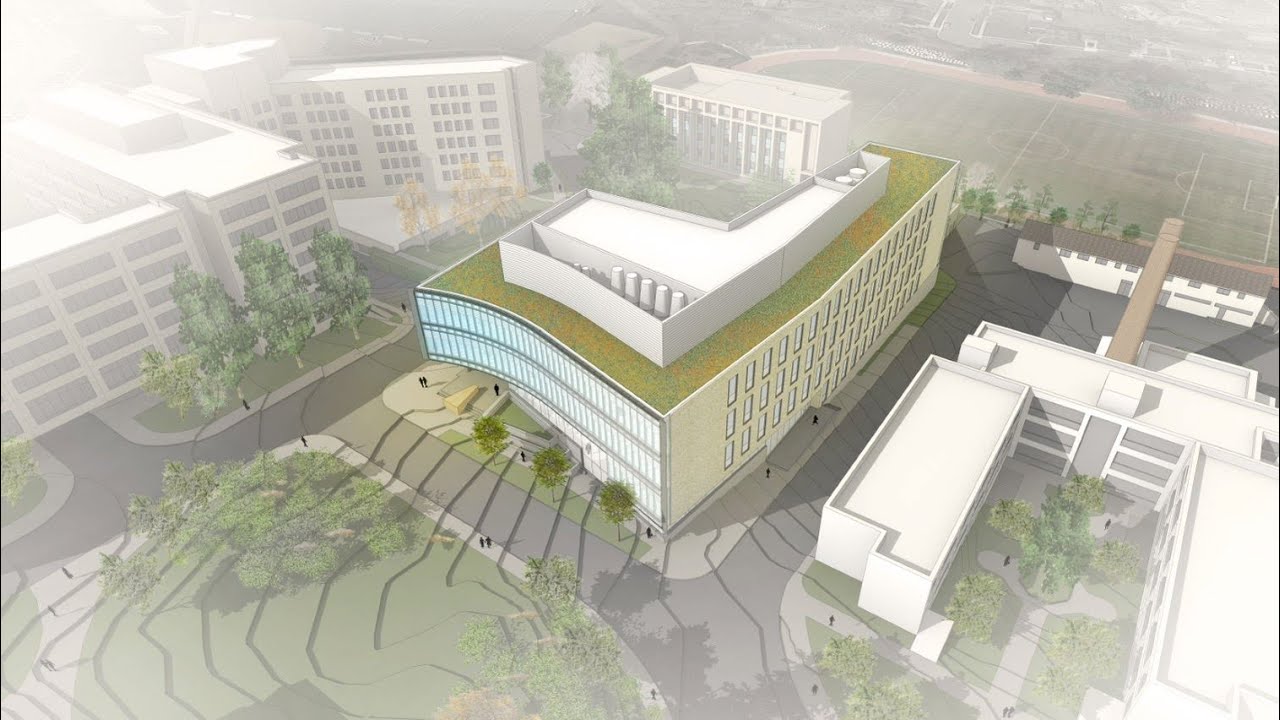 Discover Our Community: Sustainability