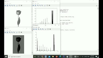Segmentasi Citra dengan Algoritma Thresholding