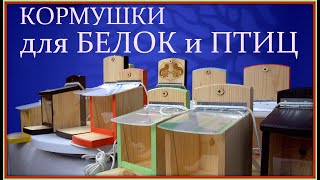 Кормушка для белки, для белки и птиц. Что делать если белка не пришла. Дятел, лазоревка и трактор.