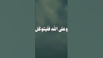 القارئ محمد احمد حسن ما تيسر من سورة التوبة برواية الامام بن وردان عن الامام ابو جعفر المدنى