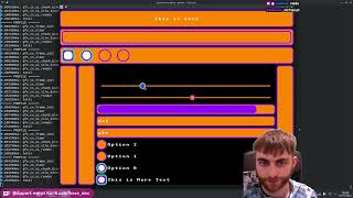 IMGUI image & input box | Game W/O Engine Day 45 | C | Vulkan | Linux & Windows
