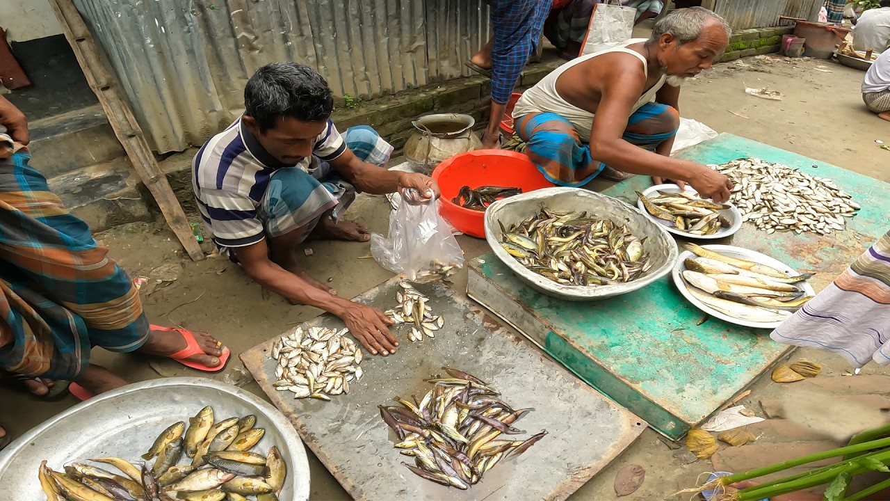 চর এলাকার ভোর সকাল বেলার গ্রামের বাজার ও গ্রামীণ জীবন। Bangladeshi Morning Village Market