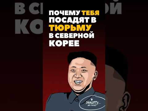 Почему тебя посадят в тюрьму в Северной Корее #shorts