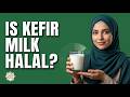Is Kefir Milk Halal? What Muslims Must Know 🥛🕌