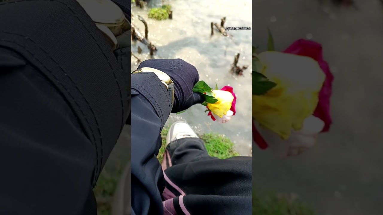 সমুদ্রের প্রতি আমার অনুভূতি।🤍