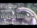 Mokele Mbembe, 5 raisons de ne pas y croire