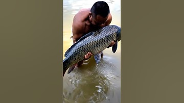 Câu được cá trắm khủng ở ao hoang #fishing #amazing #short #congnghevui238