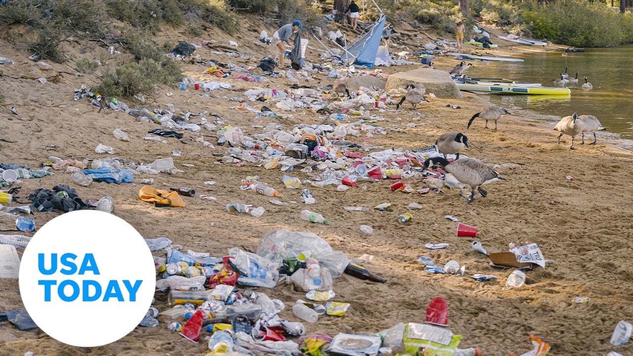 Four tons of trash removed from Lake Tahoe beaches after busy holiday | USA TODAY