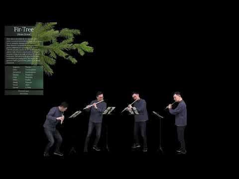 「樅木の歌」ビリー・メイヤール（フルート四重奏編曲）楽譜ダウンロートは説明欄よりSONG OF THE FIR-TREE, Billy MAYERL arr.for FluteQuartet