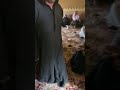 في مزرعة الاثيلة حيث الكرم والجود محمد المقحم بضيافة الامير محمد بن سلمان 