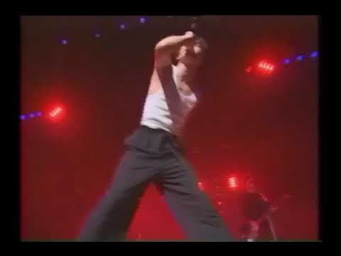 The BOOM　Fish Dance