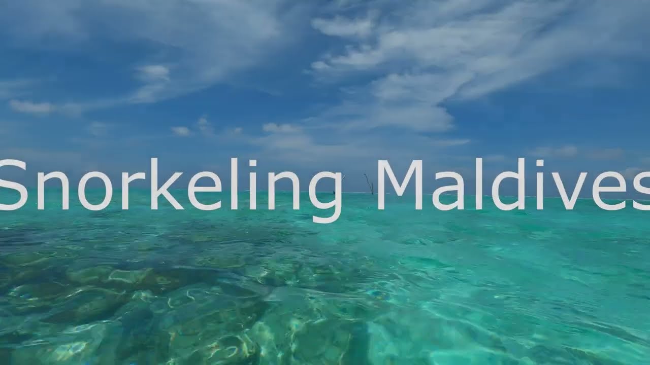 Maldives Snorkeling, Summer Island