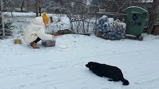 In Winter, Even A Small Kindness Saves A Life