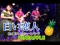開演直前から1曲目 全部見せます!「白い恋人」 by PINEAPPLE(松田聖子トリビュートバンド) 2019.4.21 新中野Live Cafe弁天