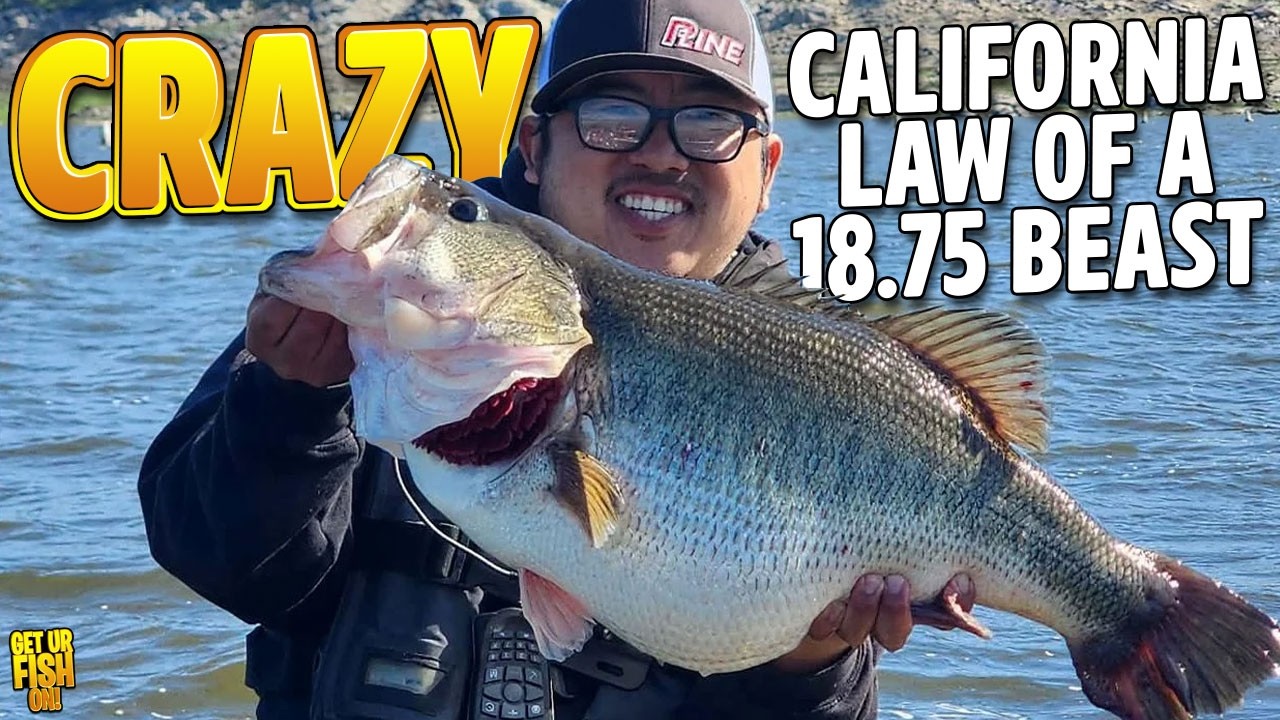 Lake Record Bass Disqualified After Inadvertant Law Broken