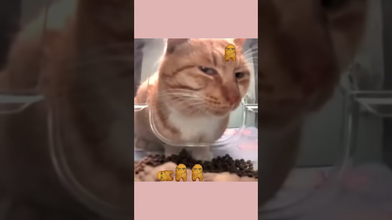 MR FRESH IS EATING A DANCING NUGGETS! 