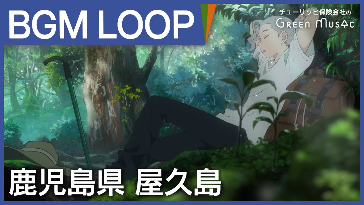 作業用BGM - 悠久の森に包まれるチルミュージック【集中・勉強・睡眠】