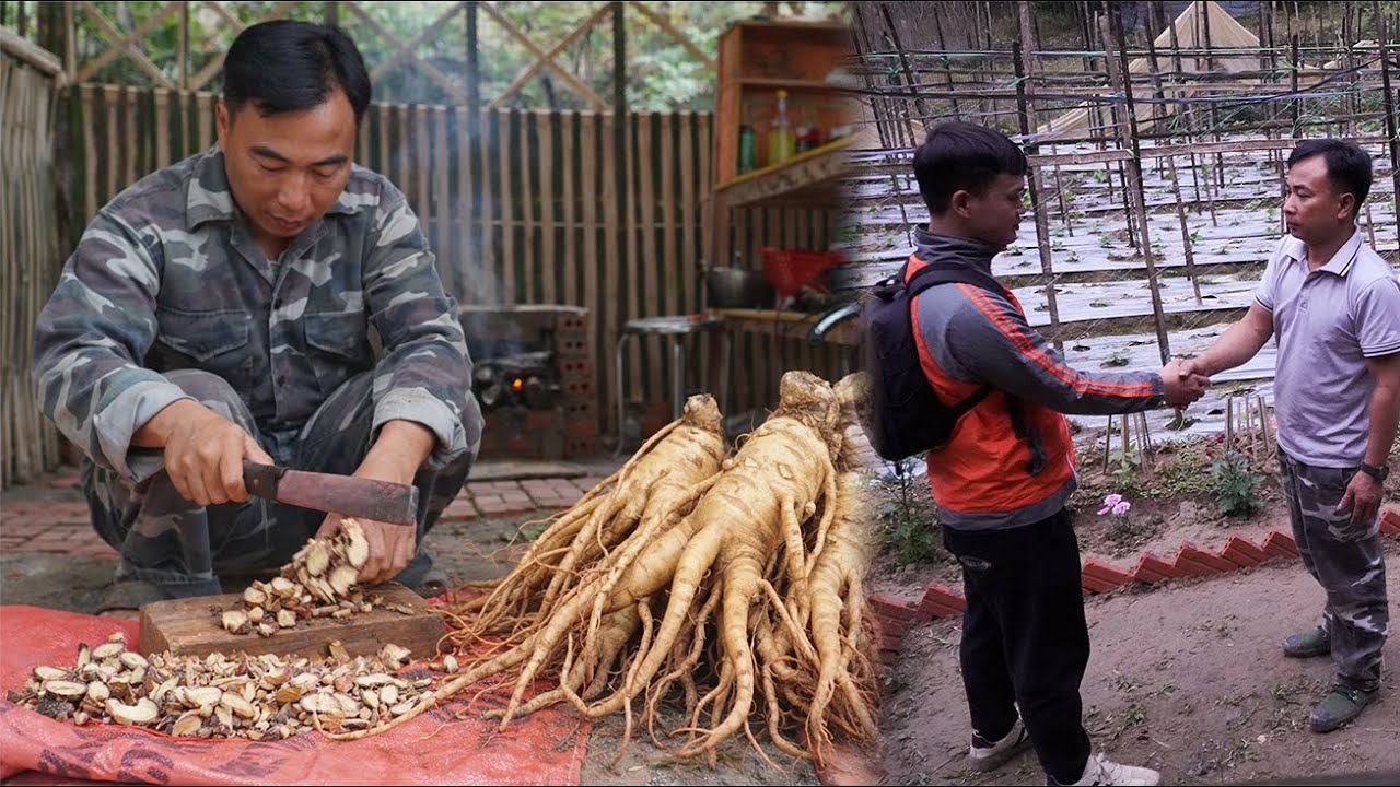 His cousin returned to visit Zhao Qingyun and was very surprised by the new house.