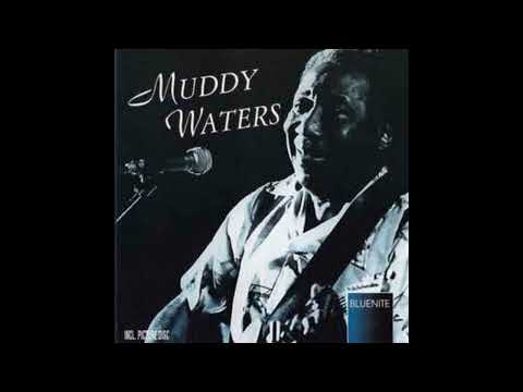 Muddy Waters - Mannish Boy (Full album)