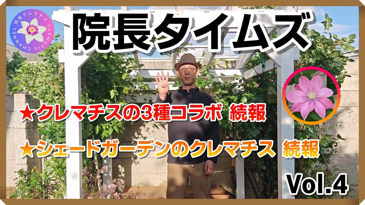 クレマチス3品種 Director's Times 4: Clematis Collaboration of 3 Varieties