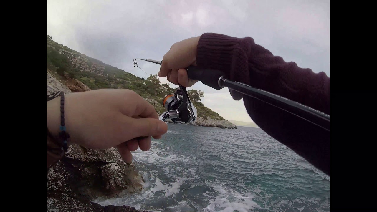 duo yurameki / dentex catch and release ..!