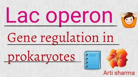 Lac operon : gene regulation in prokaryotes