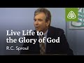 Live life to the glory of god themes from ecclesiastes with rc sproul