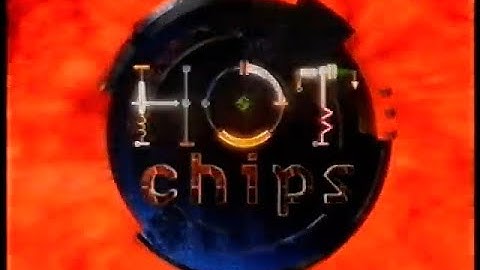 Hot Chips: Computer Crime/Ubiquitous Computing 1994