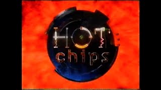 Hot Chips: Computer Crime/Ubiquitous Computing 1994