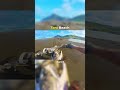 Tora Beach pt6 #dji #beachride #crf250r