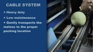 TECHNICAL version AccuVision Sizer/Grader For Watermelons and Other Melon Varieties