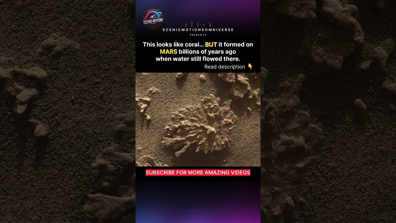 This Was Just Found on Mars… And It Shouldn’t Look Like This