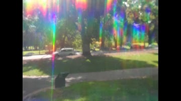 aura of  trees in the park.