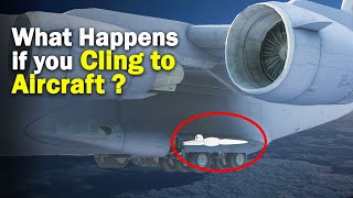 What if you Cling to Aircraft- Wheel well Stowaway Resimi