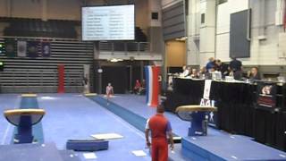 Technical sequences 2016 National Championships vault