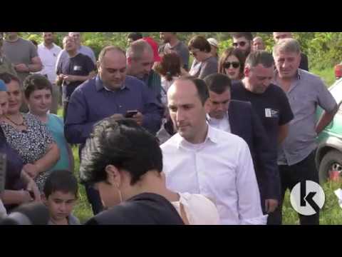 კახეთში რთველი დაიწყო