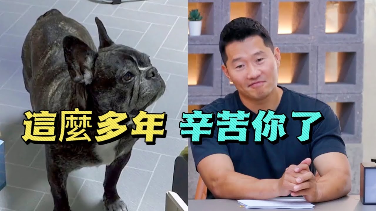 男主人把家裡當成垃圾堆，倉鼠尸體不扔，魚缸臭水三年不換，原因竟出人意料