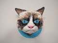 Grumpy Cat Head Timelapse