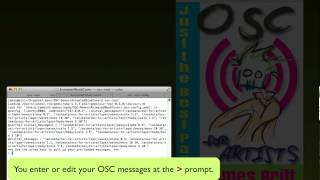osc-repl: A helper tool for Open Sound Control (OSC) screenshot 4