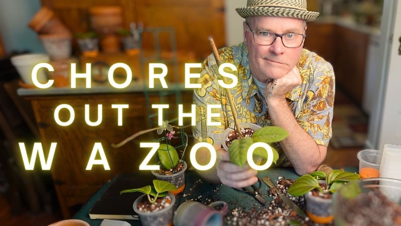 Whys and Hows PLUS does Plant Advice = Life Advice?