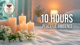 10 Hours Luxury Spa Music | Deep Relaxation for Massage & Sleep