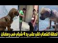 شاهد ما حدث لكلب على يد 4 شباب فى السويس والمصريين حسبي الله ونعم الوكيل