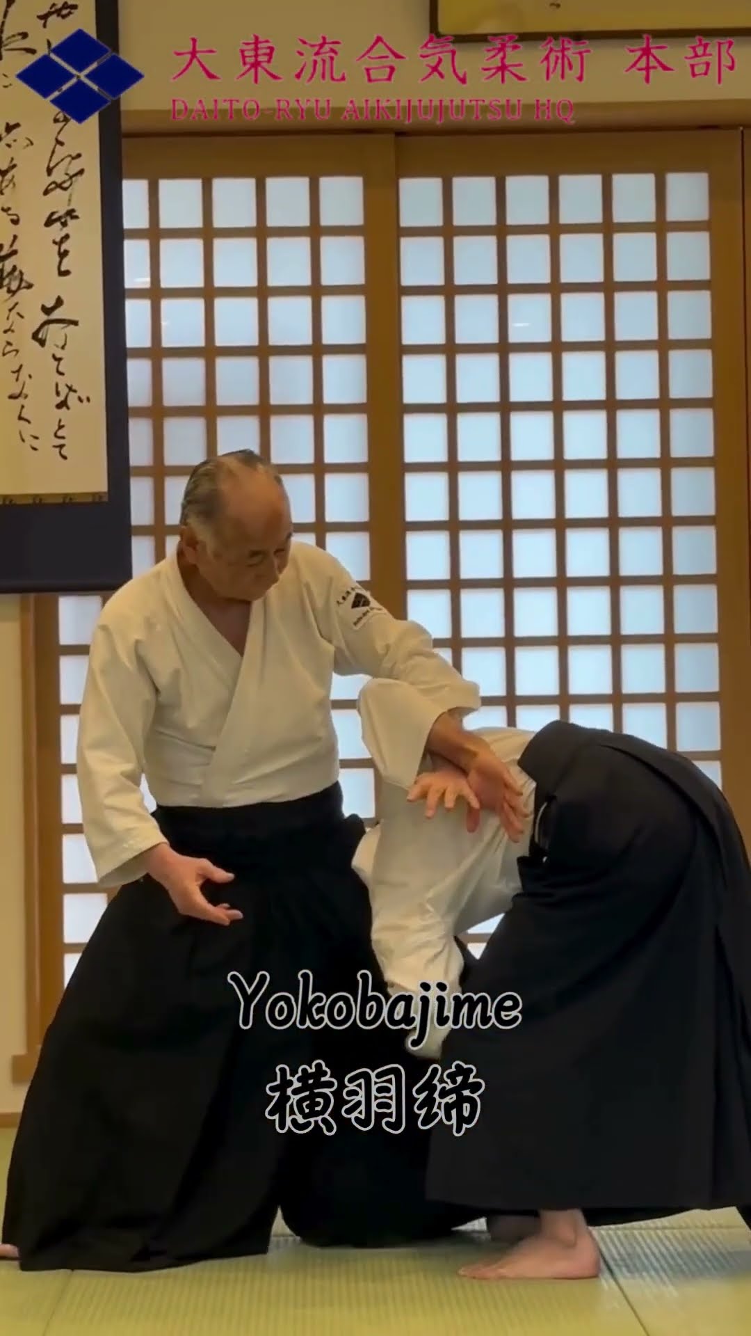 大東流合気柔術 大東流合気柔術 幸心会 野本禎師範「柔術・合気柔術・合気之術