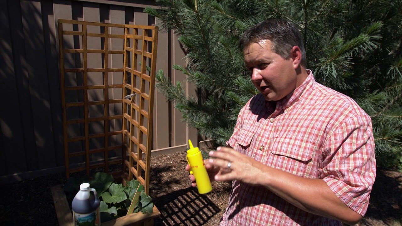 A unique way to apply Tree Secret(™) - YouTube