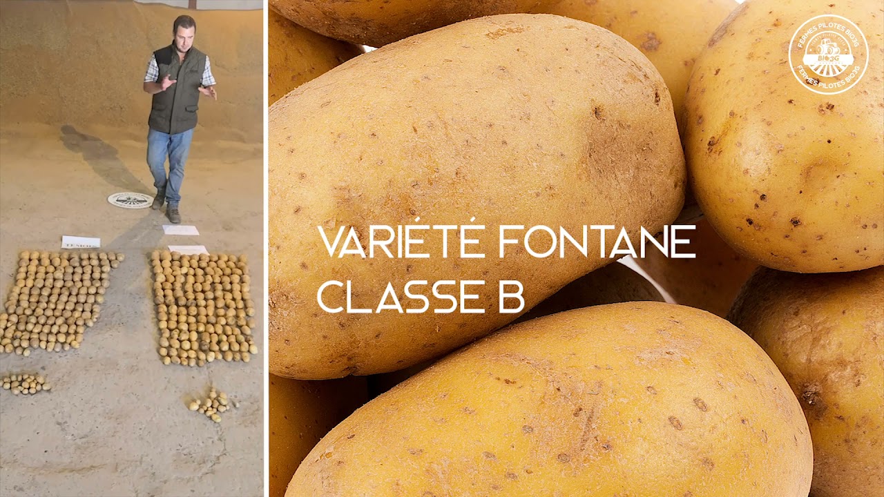 Fermes Pilotes BIO3G - Ribemont-sur-Ancre (80) - Épisode 12