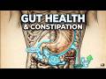 **Title:** Gut Health & Constipation