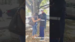 Marine Surprises Family