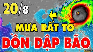 [ THỜI TIẾT VIỆT ] Hôm nay 20/8/2022 | Miền Bắc đón 