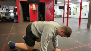 Quadruped Kick throughs