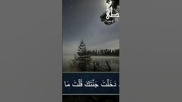 تلاوة خاشعة للقارئ الحسن سيد الشنقيطى من سورة الكهف/القرآن الكريم